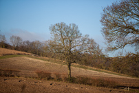 Turville - 29 November 2012