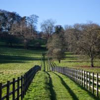 Turville - 29 November 2012