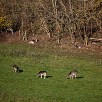 Turville - 29 November 2012