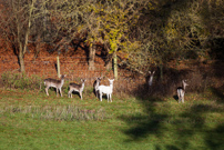 Turville - 29 November 2012