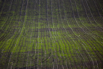 Turville - 29 November 2012