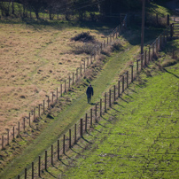 Turville - 29 November 2012