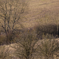 Turville - 29 November 2012