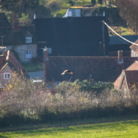 Turville - 29 November 2012