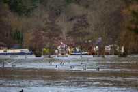 Henley-on-Thames - 26 December 2012