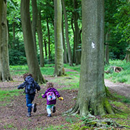 Long walk around Greys Court