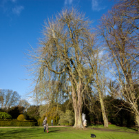 Waddesdon Manor - 27 January 2013