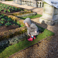 Waddesdon Manor - 27 January 2013