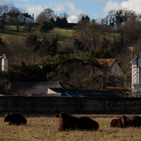 Henley-on-Thames - 02 February 2013