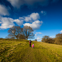 Henley-on-Thames - 02 February 2013