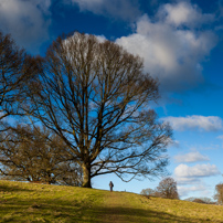 Henley-on-Thames - 02 February 2013