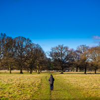 Henley-on-Thames - 02 February 2013