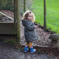 Basildon - 16 February 2013 / Alana by the chicken's pen