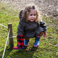 Basildon - 16 February 2013 / Alana found one of the clue for the trail, a Wellington boot