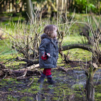 Cliveden - 17 February 2013 / Alana walking around with her new friend the ladybird...