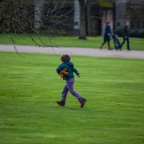 Cliveden - 17 February 2013 / Oscar running