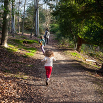 Cliveden - 17 February 2013 / I was so proud about Alana, she was walking very nicely around and for a long distance