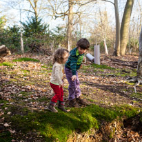 Cliveden - 17 February 2013 / We've done a trail in the woods and we were looking for a rabbit hole and moss...