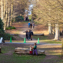 Cliveden - 17 February 2013 / Alana and Oscar running up the hills...