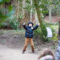 Cliveden - 31 March 2013 / Oscar discovering a clue for the Easter Trail...