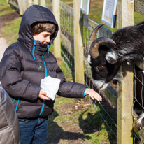 Wellington Park - 01 April 2013 / Oscar and Jess feeding the animals