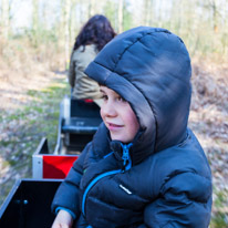 Wellington Park - 01 April 2013 / Oscar on a small train...