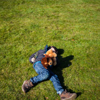 Greys Court - 02 April 2013 / Oscar on the ground