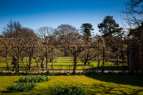 Greys Court - 02 April 2013 / Greys Court