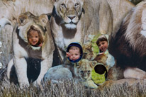 Whipsnade zoo - 07 April 2013 / Real lions...