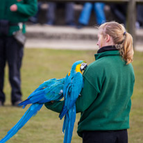 Whipsnade zoo - 07 April 2013 / Parrots