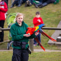 Whipsnade zoo - 07 April 2013 / Parrots