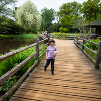 Savill Garden - 19 May 2013 / Oscar