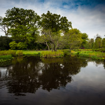 Savill Garden - 19 May 2013 / Savill garden