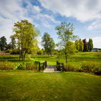 Savill Garden - 19 May 2013 / Savill garden