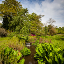 Savill Garden - 19 May 2013 / Savill garden