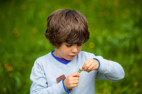 Henley-on-Thames - 25 May 2013 / Oscar playing with a flower...