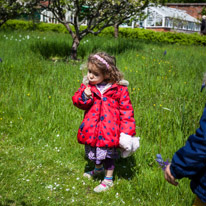 Henley-on-Thames - 25 May 2013 / Alana blowing a flower