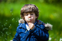 Henley-on-Thames - 25 May 2013 / Oscar blowing a flower