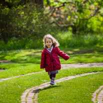 Henley-on-Thames - 25 May 2013 / Alana running around in the maize