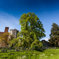 Henley-on-Thames - 01 June 2013 / A great day at Greys Court