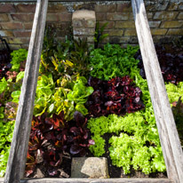 Henley-on-Thames - 01 June 2013 / These are the salads for the Restaurant