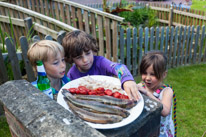 Middle Ascendon - 08 June 2013 / Rose, James and Oscar observing and touching the fish...