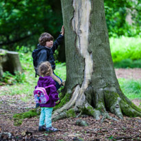 Greys Court - 23 June 2013 / Alana and Oscar