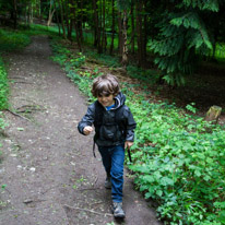 Greys Court - 23 June 2013 / Oscar full of energy...