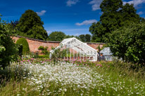 Henley-on-Thames - 29 June 2013 / In the walled garden