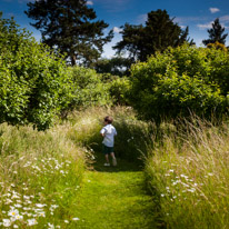 Henley-on-Thames - 29 June 2013 / In the walled garden