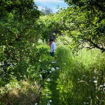 Henley-on-Thames - 29 June 2013 / Oscar and Alana exploring the walled garden