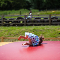 Bucklebury Farm - 30 June 2013 / Down...