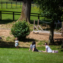 Bucklebury Farm - 30 June 2013 / Alana