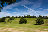 Bucklebury Farm - 30 June 2013 / The deer park